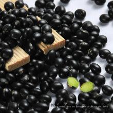 Frijoles negros con origen de granos verdes en China
